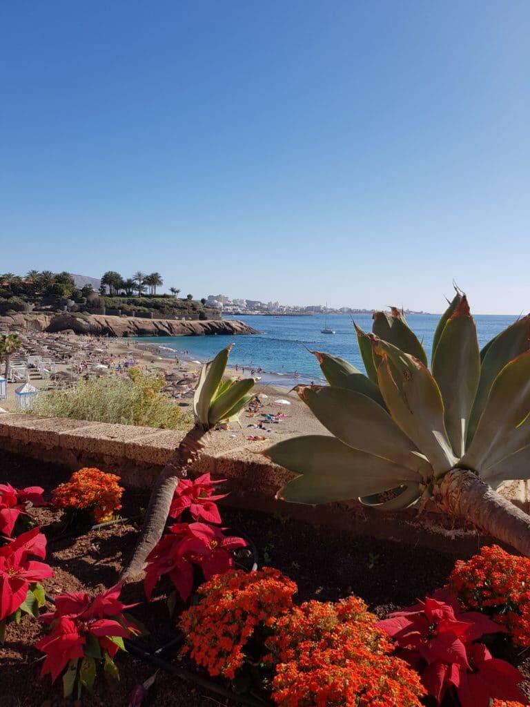 20180123_153341_resized-768x1024