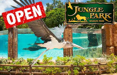 Parco della giungla-09-20