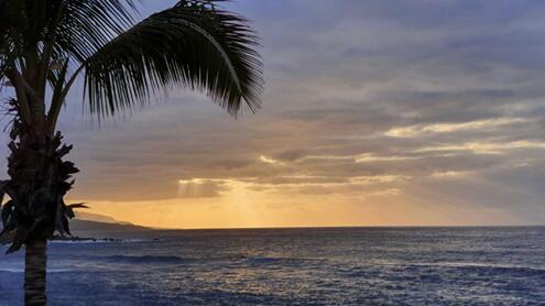 Notizie-Aprile-21-13