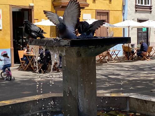 Notizie-Aprile-21-30