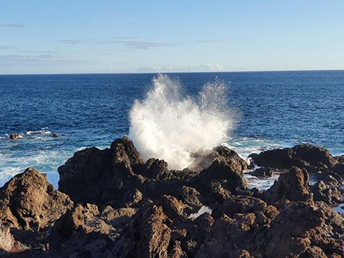 Notizie - 20 giugno - 7