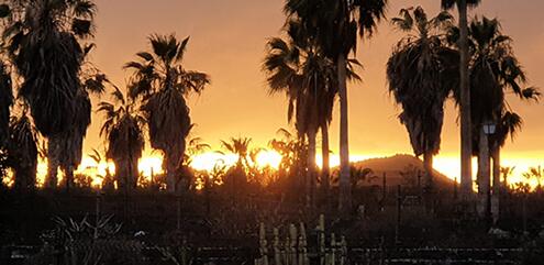 Notizie-Giugno-20-a4