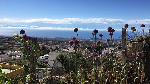 Notizie-Giugno-20-a2