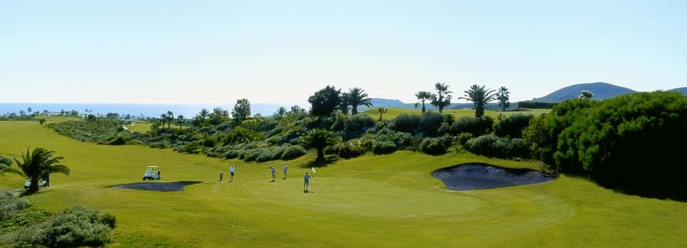 AmarillaGolfWeb4