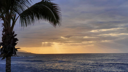 Notizie-Aprile-21-13